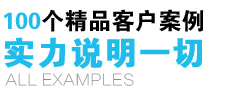 100个精品客户案例